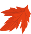 about-4-shape-1_pe
