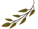 slider-2-shape-3_pe