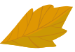 slider-2-shape-4pe